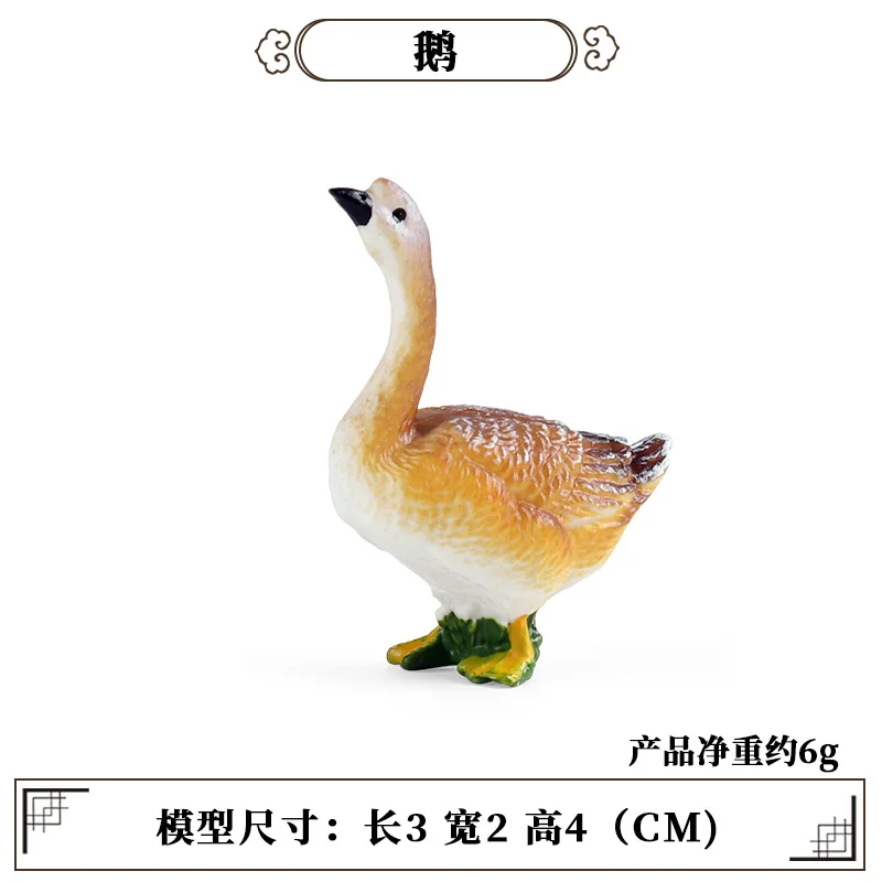 Kids First Education - Herramienta de enseñanza educativa para aves