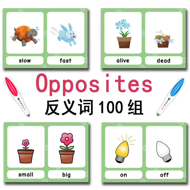 Tarjetas de memoria con 100 gr - Kids Education School reseña y precio