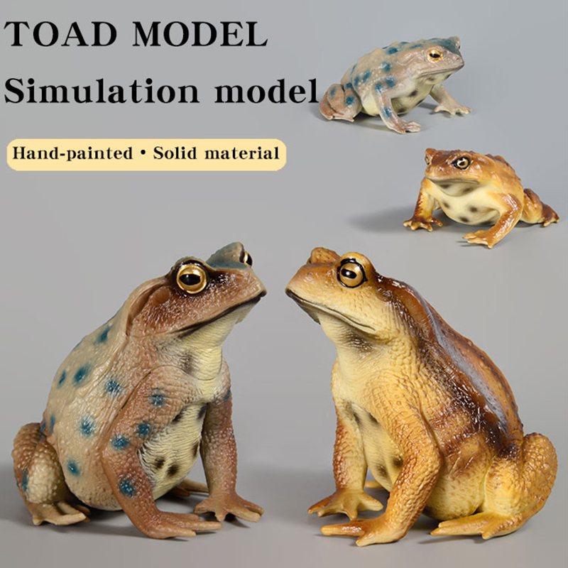 Figura de Rana Anfibia, Modelo - Kids First Education reseña y precio