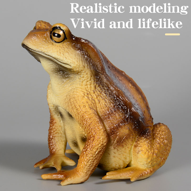 Figura de Rana Anfibia, Modelo - Kids First Education reseña y precio